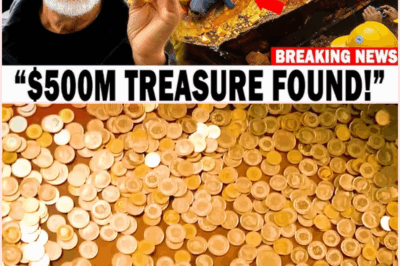 200 Years of Secrets, One Breakthrough: Oak Island’s Legendary Treasure Awaits!