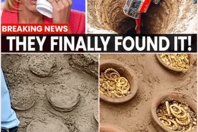 The Money Pit’s Secret: Why Every Explorer Who Digs Too Deep Never Comes Back