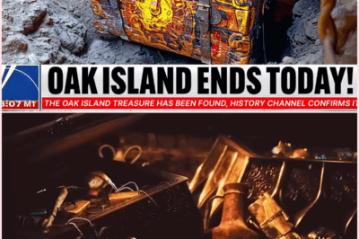 The Oak Island Treasure: After 200 Years, The Curse is Broken – What Lies Beneath?