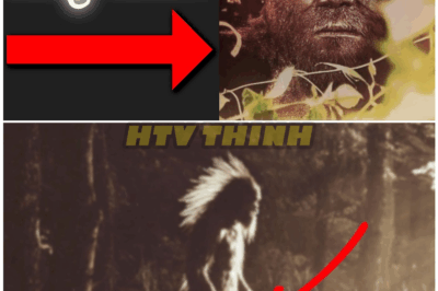 🦊 “‘THE WORLD CAN’T IGNORE THIS!’ Crystal Clear Bigfoot Footage Captured on Camera — Wildlife Experts Left Absolutely STUNNED 🐾👀”