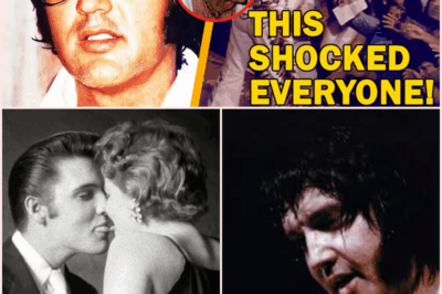 ‘You Don’t Know What I’ve Been Through’: The Moment Elvis Presley Snapped Before His Fans