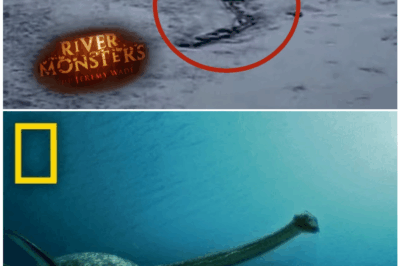 🦊 “River Monsters’ Most Disturbing Find Yet: Could This Sinister Lake Worm Be the Real Face of Nessie? Experts Divided, Footage Under Scrutiny 📺🦕”