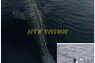 🦊 SHOCKING DRONE FOOTAGE: Loch Ness Monster Finally CAUGHT on Camera—Experts Left SPEECHLESS! 📸