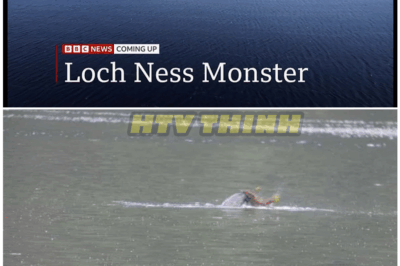 🦊 90 Years of Lies? The Shocking Truth Behind Loch Ness Monster Sightings That Scotland Doesn’t Want You to Know 🕵️‍♂️