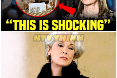 🦊 “I Carried This Love in Silence for Decades” — At 76, Meryl Streep FINALLY Reveals the One Person Who Meant More Than Anyone Else… and It’s NOT Who Fans Expected 💔😱