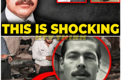 🦊 DNA BOMBSHELL ROCKS BRITAIN: The Lord Lucan Mystery SHATTERED After 50 Years 💥