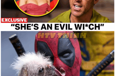 🦊 Ryan Reynolds’ “Final Interview” Leaves Fans in Shock — The Confession That Could Change Everything We Thought We Knew 😱💣