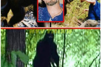 🦊 “HE SPOTTED BIGFOOT! The Terrifying Video That’s Sending Shockwaves Worldwide — Experts Are Speechless and Authorities Are on High Alert 😱🌲”