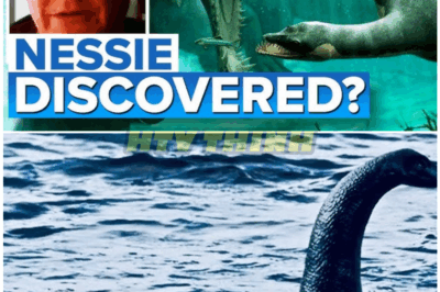 🦊 LOCH NESS MYSTERY EXPLODES — NEW EVIDENCE SUGGESTS IT MAY BE A PORTAL TO SOMETHING FAR MORE ANCIENT THAN MONSTERS 🌀