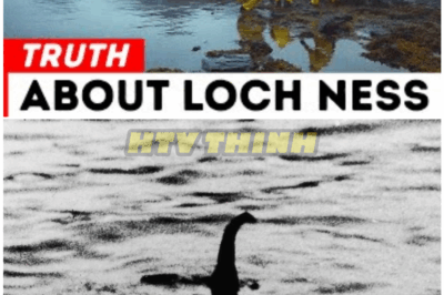 🦊 SCIENTIST DROPS BOMBSHELL: 6 DEVASTATING REASONS THE LOCH NESS MONSTER IS A COMPLETE HOAX—THE COVER-UP EXPOSED! 💣🐉