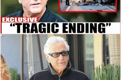 From Glory to Tragedy: The Untold Story of Barry Weiss 🌟🕊️