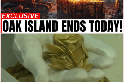 After 200 Years of Searching… Did They Finally Find the Oak Island Treasure?