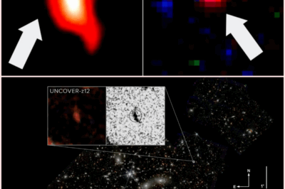 Galactic Time Travelers: JWST’s Shocking Discovery of the Universe’s Most Distant Galaxies!