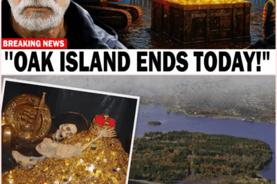 The Curse Is Broken: What the Lagina Brothers Found Beneath Oak Island Will SHOCK You