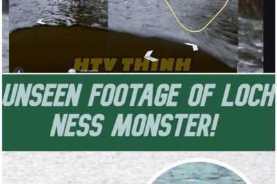 🦊 BREAKING: New Loch Ness Footage Is So Clear, Experts Are STUNNED—Why Is No One Talking About the Most Convincing Nessie Sighting Ever? 👀🐉