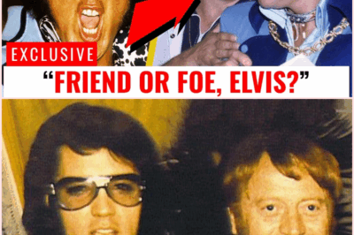 The Betrayal of the King: Inside the Night Elvis Presley’s Trust Was Broken Forever