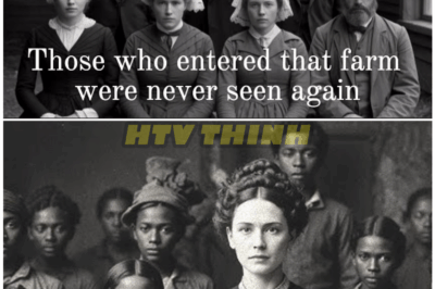 🦊 Century-Old Blackwood Farm Mystery: Vanishing Guests Finally Revealed — The Shocking Truth Will Leave You Speechless 🕵️‍♂️💀
