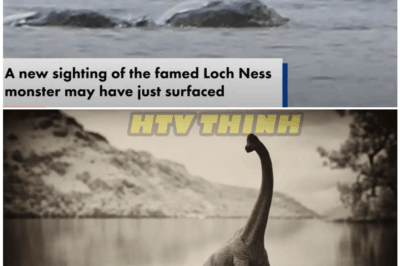 🦊 BREAKING: Is This the Return of Nessie? Startling New Footage Has Experts Panicking and Authorities on Lockdown 🎥