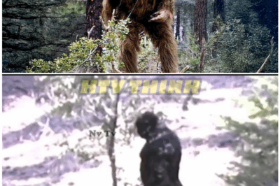 🦊 “The Footage They Tried to Erase!”—Terrifying Bigfoot Video Sparks Global Frenzy, Scientists Speechless, and Governments Silent 😱🌲