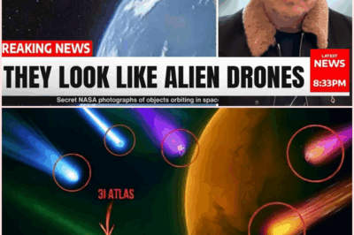 🚨🪐🧠 The “Harmonic Corridor” Mystery: Four Interstellar Visitors Moving in Perfect Sync — Coincidence or Cosmic Intelligence at Work?