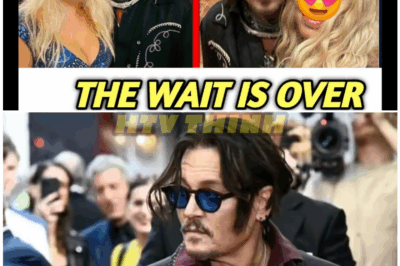 🦊 Johnny Depp’s Explosive Tell-All Shatters Hollywood—Dark Secrets, Backroom Deals, and the Stars Who Turned Against Him REVEALED! 💣🔥