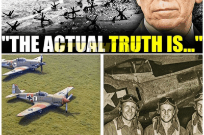 🦊 80-YEAR-OLD MILITARY MYSTERY SHATTERED: WW2 Pilots Vanished Without a Trace—And the Truth Behind Their Final Mission Is More Shocking Than Fiction 🕵️♂️🔥