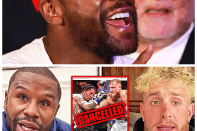 🐘 “Floyd Mayweather CALLS OUT Jake Paul After Gervonta Davis Fight Is CANCELLED—The Feud He’s Ready to End!” 😱🔥 “Floyd Mayweather is DONE waiting—he’s officially called out Jake Paul after the cancellation of the highly anticipated Gervonta Davis fight. In a move that has sent shockwaves through the boxing world, Mayweather demands a showdown with Jake Paul, and this time, he’s not holding back. ‘I’m ready to settle this once and for all,’ Mayweather declares, igniting a firestorm of drama between the two rivals. What’s next for this explosive feud?”