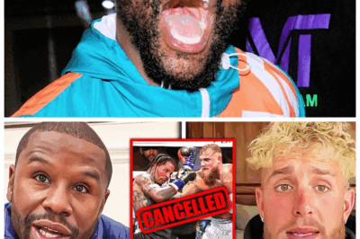 🐘 “Floyd Mayweather Goes OFF on Jake Paul After Gervonta Davis Fight Gets CANCELLED—Is a Showdown Imminent?” 😱💥 “The boxing world is buzzing after Floyd Mayweather ripped into Jake Paul following the cancellation of Gervonta Davis’s fight. Mayweather has had enough, and he’s throwing down the gauntlet, calling out Paul for a fight that could finally end their bitter rivalry. ‘I’m here. Let’s get this done,’ Mayweather challenges, as tensions reach a boiling point. Will Jake Paul answer the call, or will this rivalry escalate to new heights?”