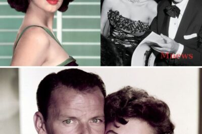 After Decades of Silence, Ava Gardner Finally Breaks the Dark Secret About Her Divorce from Frank Sinatra –What She Reveals Shocks Hollywood and Leaves the World Breathless!