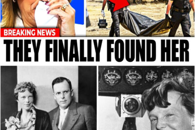The World’s Most Famous Disappearance SOLVED — What Happened to Amelia Earhart Will BREAK Your Heart