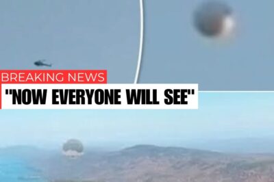 The day Google Earth stood still: UFO hunters panic as a glowing orb appears above a US lake on Street View.