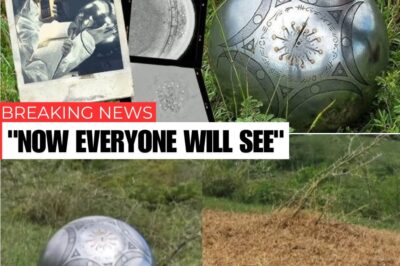 Scientists analyzing a sphere-shaped UFO with alien writing reveal shocking new evidence—claiming it’s undeniable proof of extraterrestrial intelligence.