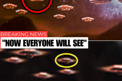 James Webb Telescope Just Detected 755 Unidentified Objects Arriving From Another Solar System