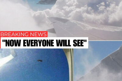 Pyramid UFO Fuels Ancient Aliens Theory: Did Extraterrestrials Build the Pyramids?