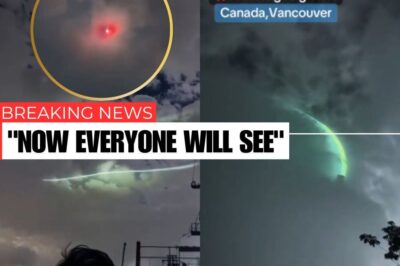 UAP SPOTTED OVER THE SEA! STRANGE SIGHTINGS REPORTED IN CANADA & THE U.S. FOLLOWING VIRAL VIDEO