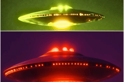 Michio Kaku: “UFO Spotted on Proxima B” – NASA in Total Panic!