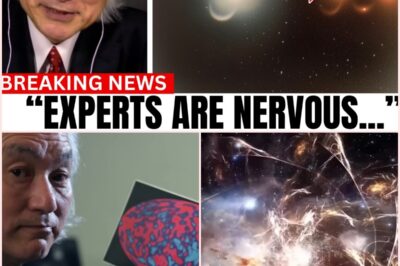 Quantum AI’s Disturbing Revelation: Have We Unlocked the Universe’s Hidden Code?