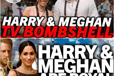 The Controversy Surrounding Meghan Markle and Prince Harry: Allegations of Deception