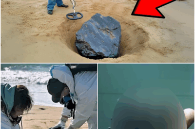 Treasure Hunter Thought He Found a Normal Rock, Until Experts Examined it…