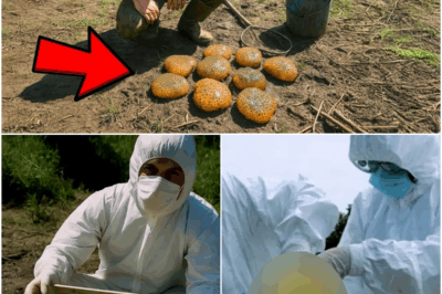 Ranger Thought He Found Normal Frog Eggs, Experts Arrived and Evacuated the Area!