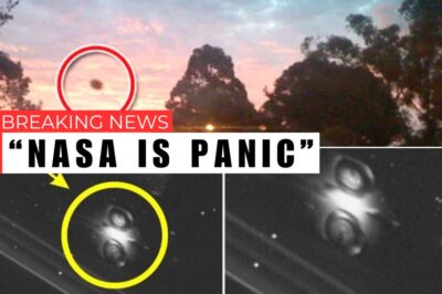 Various strange objects in the sky!!!