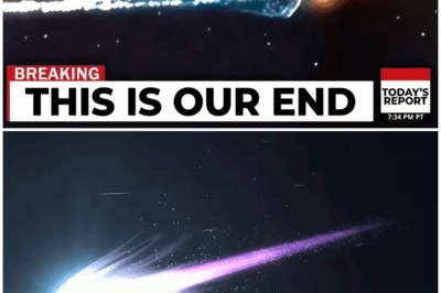 🛰️ Did China Just Hear the Universe Whisper? Leaked 3I/ATLAS Data Hints at a Controlled Interstellar Maneuver—And a Signal That Shouldn’t Exist 👁️