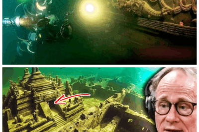 “🚨 They Just Opened the Secret Hatch on the Sphinx—And What They Found Will Rewrite History FOREVER! 🔍” In a jaw-dropping moment that feels ripped from a blockbuster, archaeologists cracked open a hidden hatch atop the Sphinx and unleashed centuries of silence—what lay beneath is more explosive than any textbook dared admit, and history as we know it may never recover. 👇