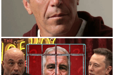 🐘 “What REALLY Happened to Jeffrey Epstein in Prison 😱 — Joe Rogan & Elon Musk Hint at a Cover-Up That Could Shake the World” 👉 When Joe Rogan leaned forward and Elon Musk smirked under the studio lights, it wasn’t just talk — it was the sound of two men circling the unspeakable, teasing a truth so radioactive that even mentioning it feels like walking barefoot across live wires👇