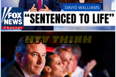 😱 David Walliams’ Shocking Fall from Grace: What Really Happened Behind the Scenes? 😱 – HTT