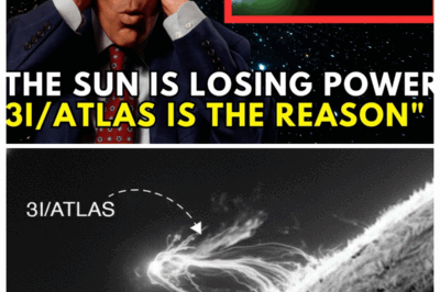Is 3I/ATLAS Absorbing Solar Energy? Questions Scientists Won’t Answer | Avi Loeb