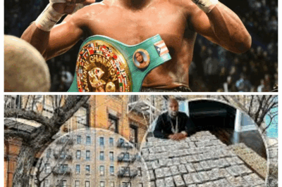 Mayweather buys 62 buildings in downtown New York