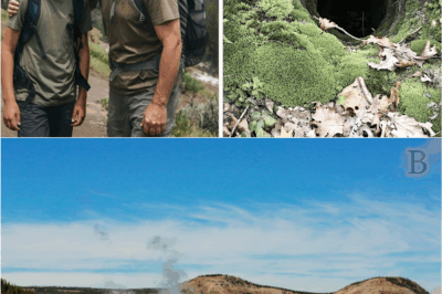 🏕️ Missing for Over a Decade: The Bone-Chilling Discovery in Yellowstone That Finally Solved the Mystery of a Father and Son’s Disappearance 💀