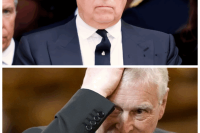 🐘 The Fall of the Queen’s Son ⚰️ What Awaits Prince Andrew in His Lonely Exile—A Life Without Crowns, Without Grace 👇 Windsor’s gates no longer open for him the same way. Once a war hero, now a walking ghost of the monarchy’s darkest chapter. “They’ve forgotten I’m family,” he reportedly said—but family, it seems, has forgotten him first. Every public sighting feels like a reminder: royalty fades, but disgrace is eternal.