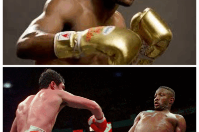 “The undefeated” Mayweather chooses the greatest boxer in boxing history